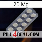 20 Mg 08